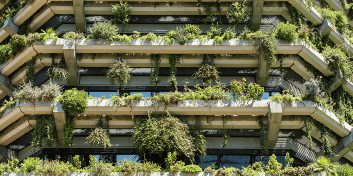 How Urban Nature Transforms the Experience of a Modern Arena