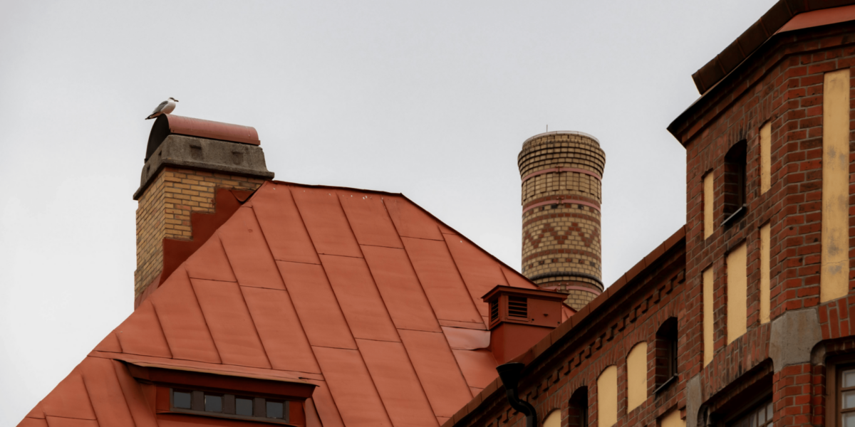 Inside the Pulse of Kviberg: Where Sports, Food, and History Collide