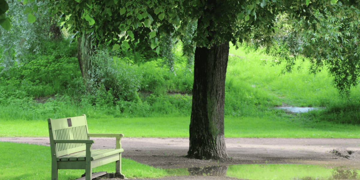 Exploring the Hidden Corners of Kvibergs Park’s Urban Nature
