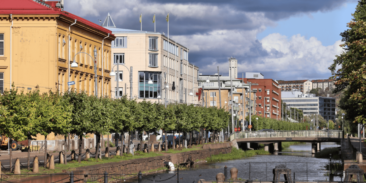 Where City and Nature Meet: Exploring Life Around Kviberg Park