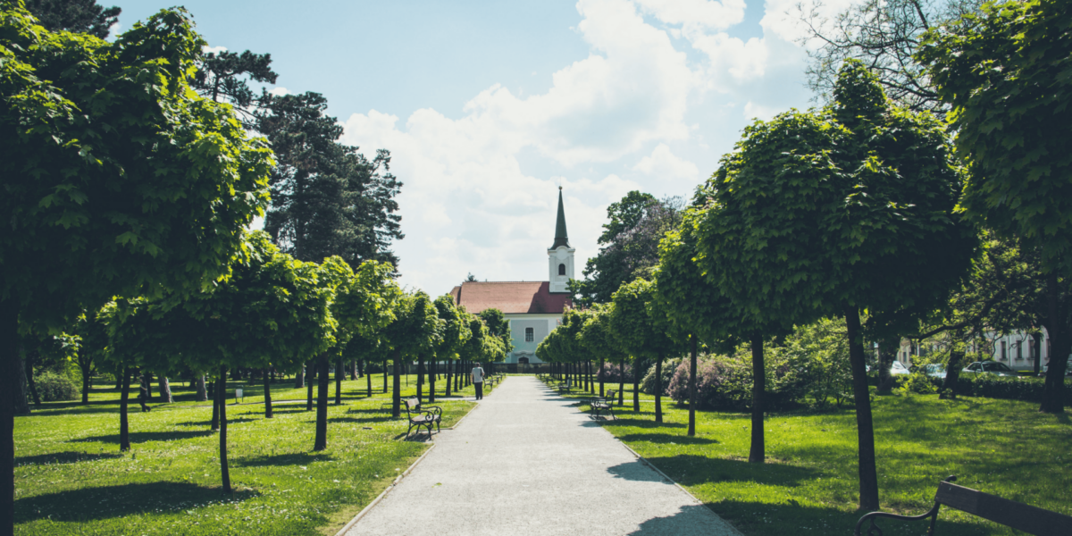 Where Urban Adventure Meets Nordic Nature
