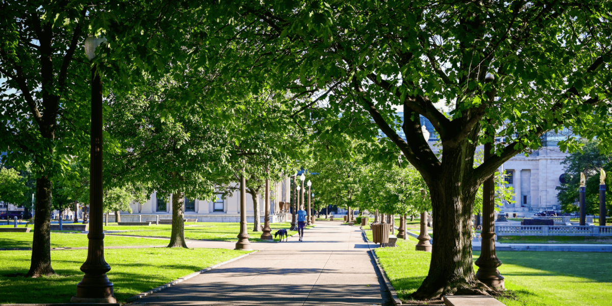 Inside the Culture of Movement at Kviberg Park